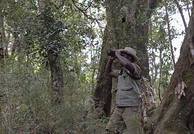 Heritance Tea Factory