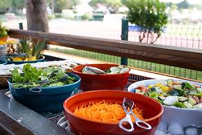 AP Victoria Sports & Beach