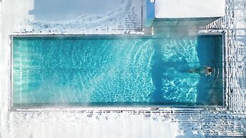 Der Löwe - LEBE FREI