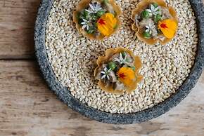 The Old Quay House Hotel