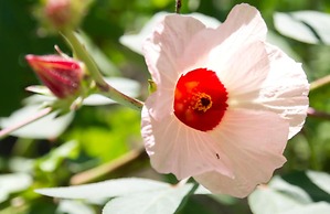 Narittaya Resort and Spa