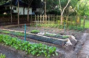 Narittaya Resort and Spa