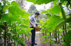 Narittaya Resort and Spa