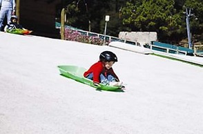 Bosques De Monterreal