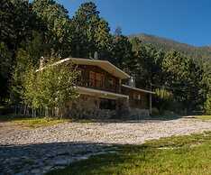 Bosques De Monterreal