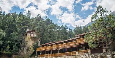 Bosques De Monterreal