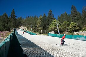 Bosques De Monterreal
