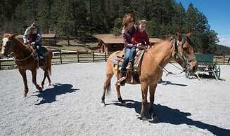 Bosques De Monterreal