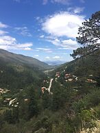 Bosques De Monterreal