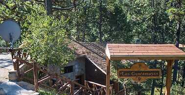 Bosques De Monterreal