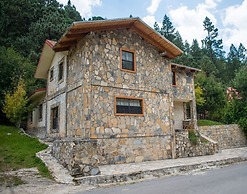 Bosques De Monterreal