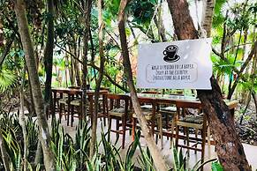 Catalonia Playa Maroma – All Inclusive