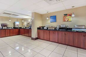 Comfort Inn St Petersburg North