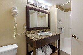 Comfort Inn St Petersburg North