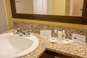 Comfort Inn St Petersburg North