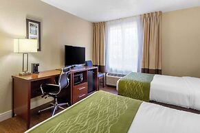 Comfort Inn St Petersburg North