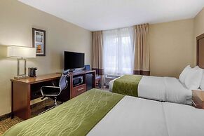 Comfort Inn St Petersburg North