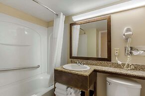 Comfort Inn St Petersburg North