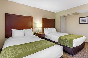 Comfort Inn St Petersburg North
