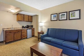 Comfort Inn St Petersburg North