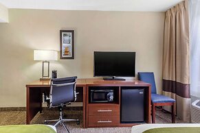 Comfort Inn St Petersburg North