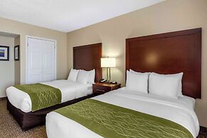 Comfort Inn St Petersburg North