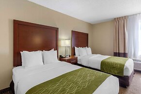 Comfort Inn St Petersburg North