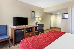 Comfort Inn St Petersburg North