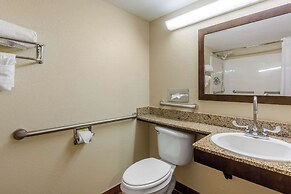 Comfort Inn St Petersburg North