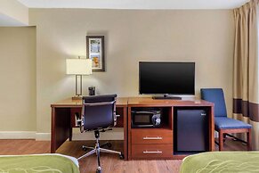 Comfort Inn St Petersburg North