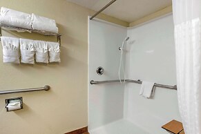 Comfort Inn St Petersburg North