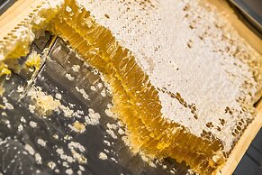 Grotthuss Boutique Hotel