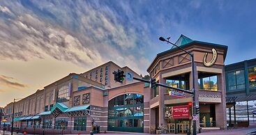 Horseshoe Black Hawk