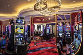 Horseshoe Black Hawk