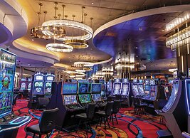 Horseshoe Black Hawk