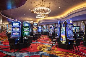 Horseshoe Black Hawk