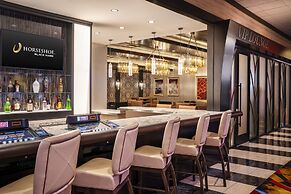 Horseshoe Black Hawk