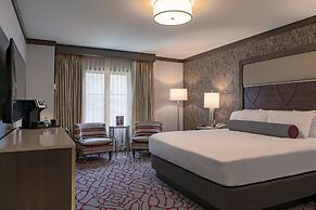 Horseshoe Black Hawk