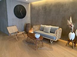 Paxton Paris MLV