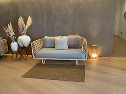 Paxton Paris MLV