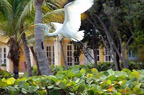 Tortuga Bay Hotel