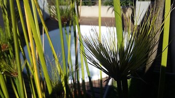 248 Finisterra Hotel Boutique Argentino