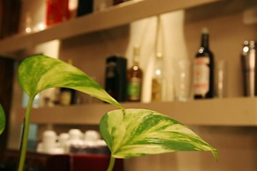 248 Finisterra Hotel Boutique Argentino