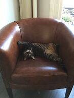 Hotel Clemens Amsterdam