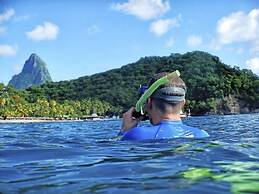 Jade Mountain Resort