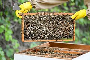 Sharq Village & Spa, a Ritz-Carlton Hotel