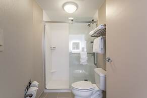 SpringHill Suites by Marriott Gainesville