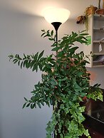 Hotel Feel Inn Venice Airport Rooms