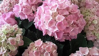 Garden Hotel Tabiano