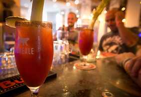 Samesun Montreal Central - Hostel